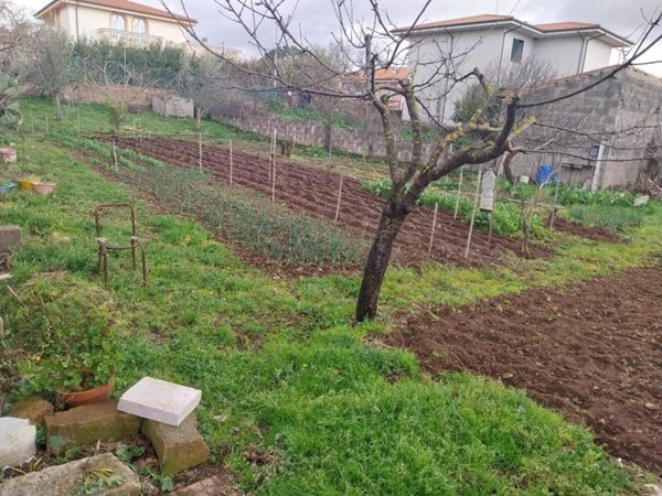 casa indipendente in vendita a Pozzomaggiore