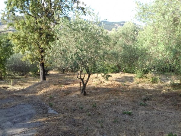 locale di sgombero in vendita a Pozzomaggiore