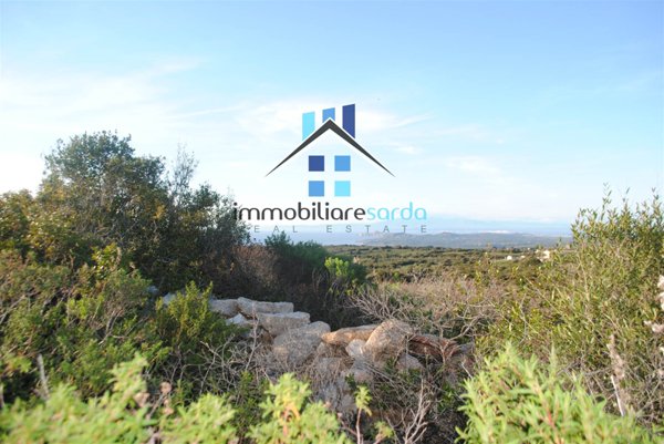 terreno agricolo in vendita ad Aglientu