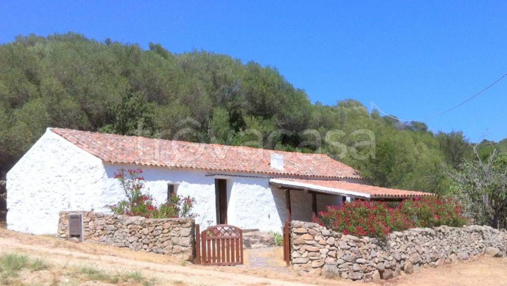 casa indipendente in vendita ad Aglientu