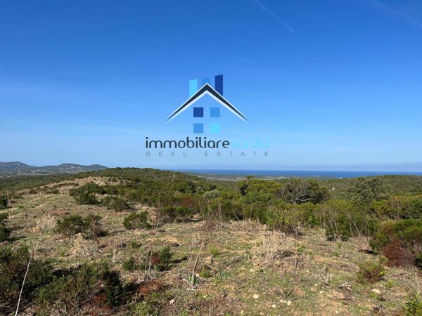 terreno agricolo in vendita ad Aglientu