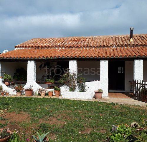 casa indipendente in vendita ad Aglientu