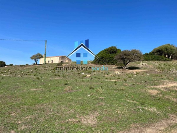azienda agricola in vendita ad Aglientu