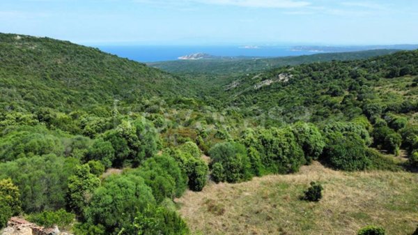 casa indipendente in vendita ad Aglientu