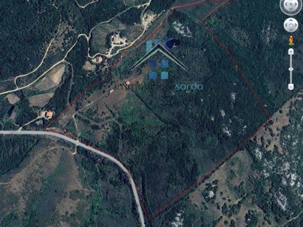 terreno agricolo in vendita ad Aglientu