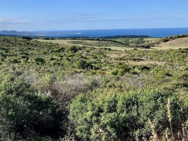 terreno agricolo in vendita ad Aglientu