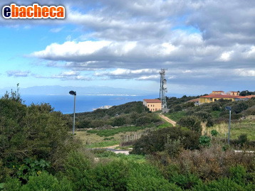 immagine annuncio 0 di 4