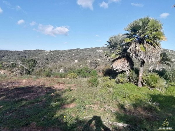 terreno in vendita ad Aglientu
