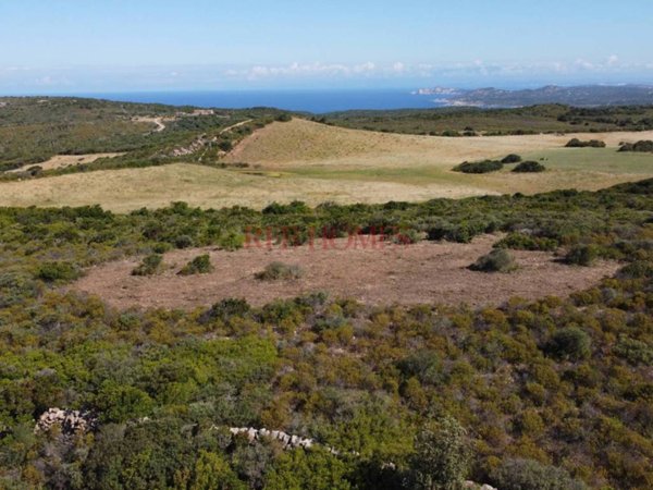 terreno agricolo in vendita ad Aglientu