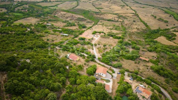 casa indipendente in vendita ad Aglientu