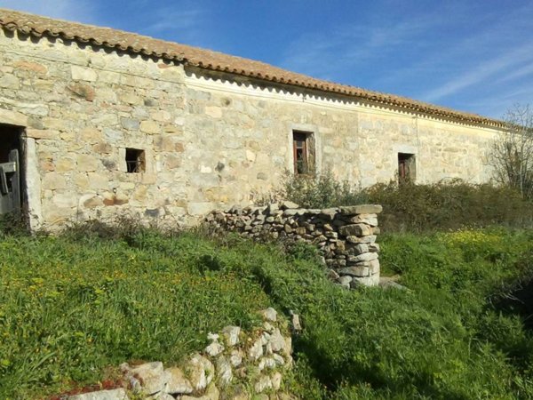 casa indipendente in vendita ad Aglientu