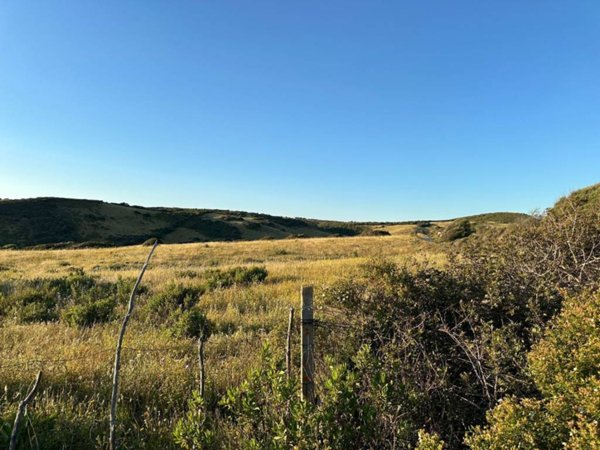 terreno agricolo in vendita ad Aglientu