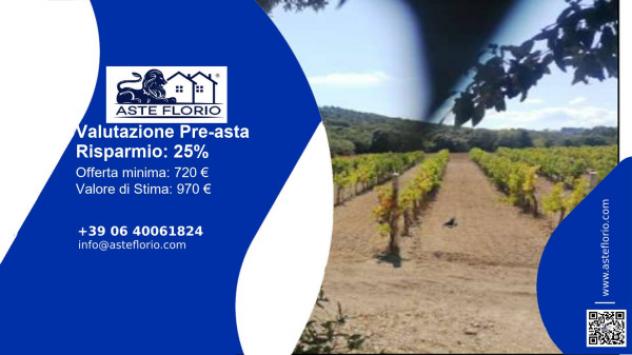 terreno agricolo in vendita ad Aglientu