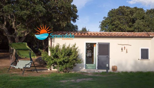 azienda agricola in vendita ad Aglientu