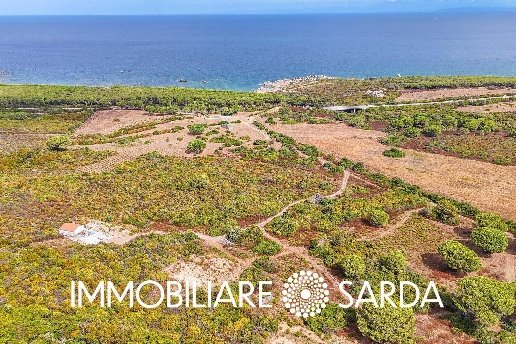 casa indipendente in vendita ad Aglientu