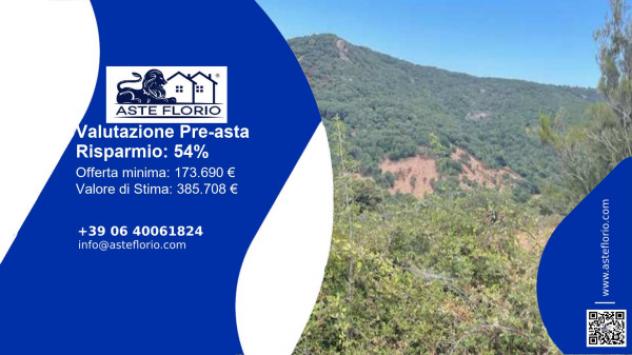 terreno agricolo in vendita ad Aglientu