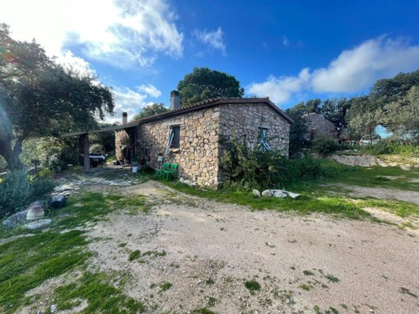 terreno agricolo in vendita ad Aglientu