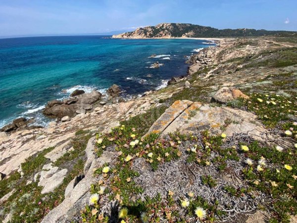 casa indipendente in vendita ad Aglientu