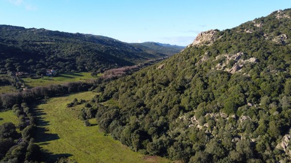 terreno agricolo in vendita ad Aglientu