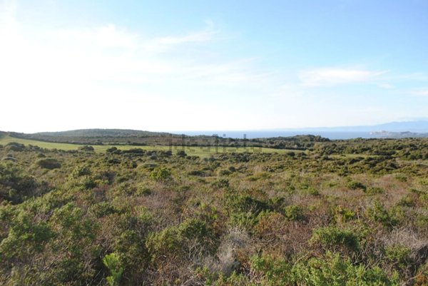 terreno agricolo in vendita ad Aglientu