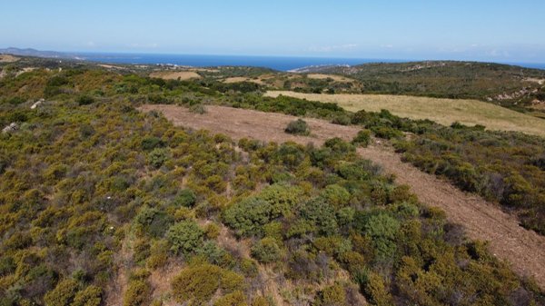 terreno agricolo in vendita ad Aglientu