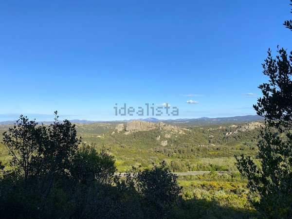 terreno agricolo in vendita ad Aglientu