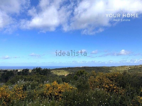 terreno agricolo in vendita ad Aglientu