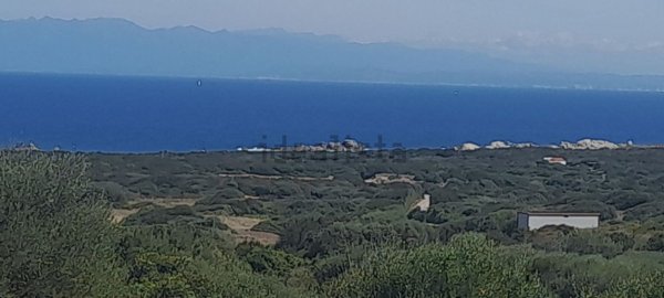 casa indipendente in vendita ad Aglientu