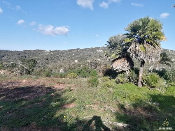 terreno agricolo in vendita ad Aglientu