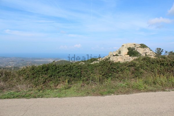 terreno edificabile in vendita ad Aglientu