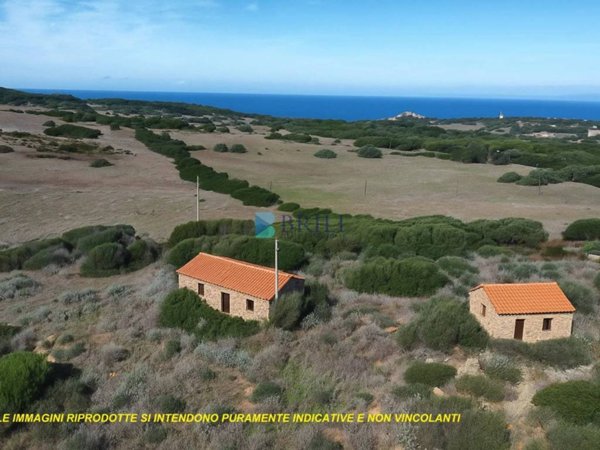 terreno agricolo in vendita ad Aglientu