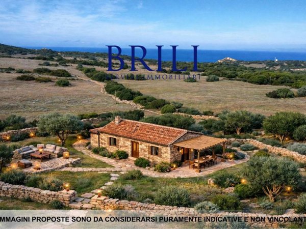 terreno agricolo in vendita ad Aglientu