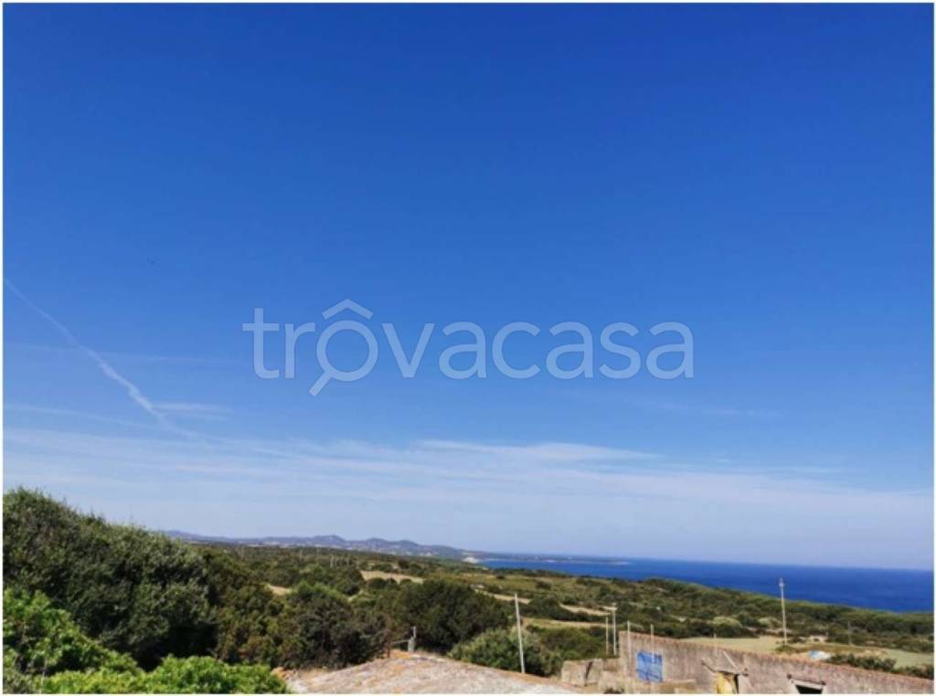 terreno agricolo in vendita ad Aglientu