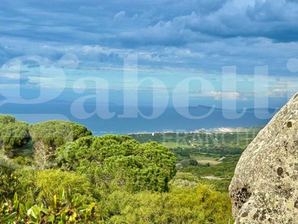 casa indipendente in vendita ad Aglientu