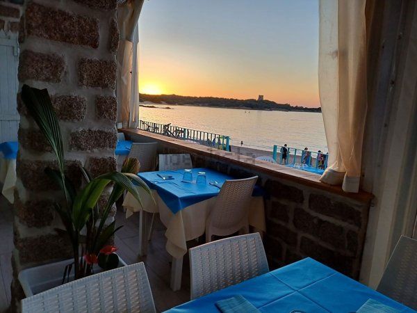 negozio in vendita ad Aglientu