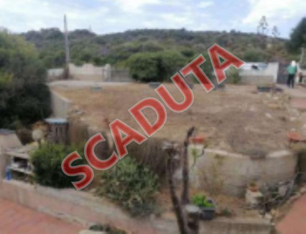 terreno agricolo in vendita ad Aglientu