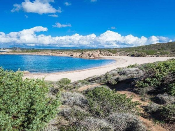 casa indipendente in vendita ad Aglientu