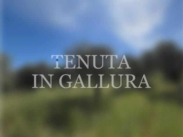 casa indipendente in vendita ad Aglientu