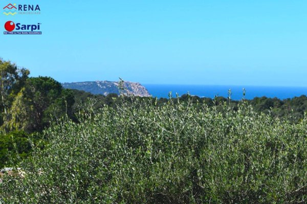 casa indipendente in vendita ad Aglientu