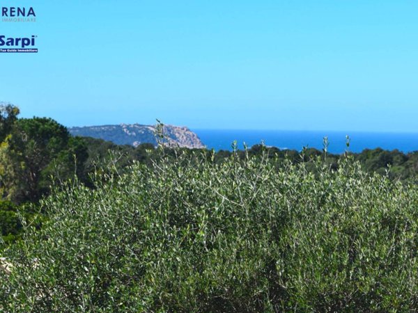 casa indipendente in vendita ad Aglientu