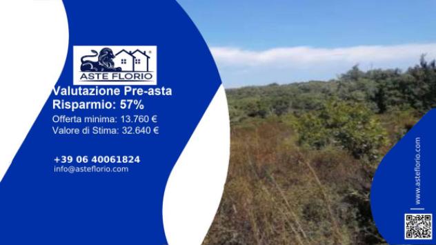 terreno agricolo in vendita ad Aglientu