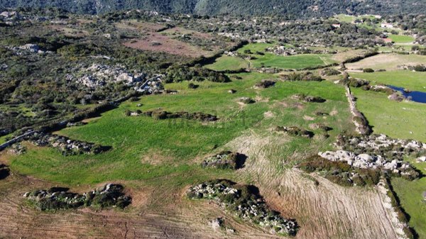 terreno agricolo in vendita ad Aglientu