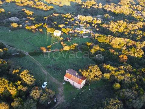 casa indipendente in vendita ad Aglientu