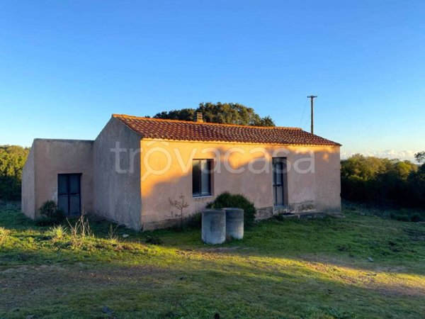 casa indipendente in vendita ad Aglientu