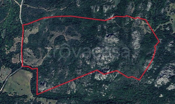 terreno agricolo in vendita ad Aglientu