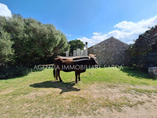 casa indipendente in vendita ad Aglientu