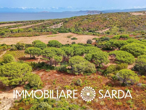 casa indipendente in vendita ad Aglientu