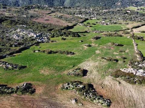 terreno agricolo in vendita ad Aglientu