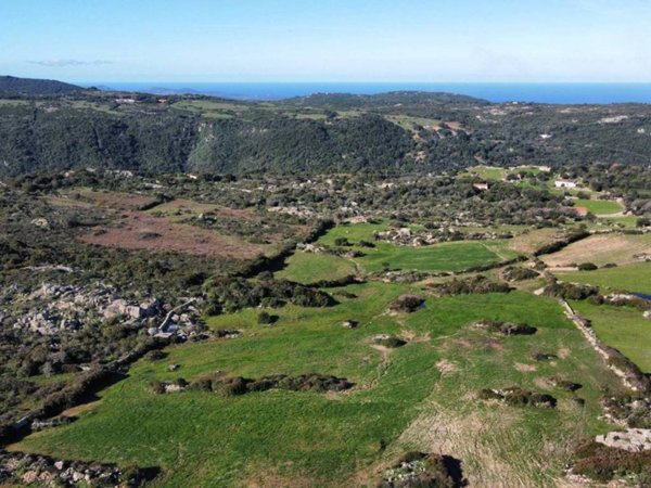 terreno agricolo in vendita ad Aglientu