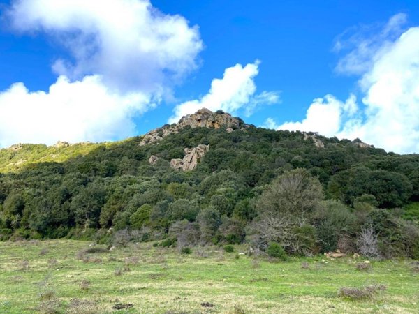 terreno agricolo in vendita ad Aglientu